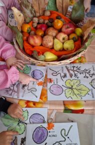 I colori, i profumi e la magia dell'autunno!